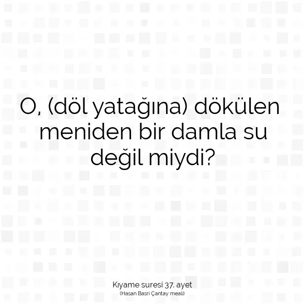 Ayetbul | Kuran Mealleri | Quran | Kıyame suresi 37. ayet