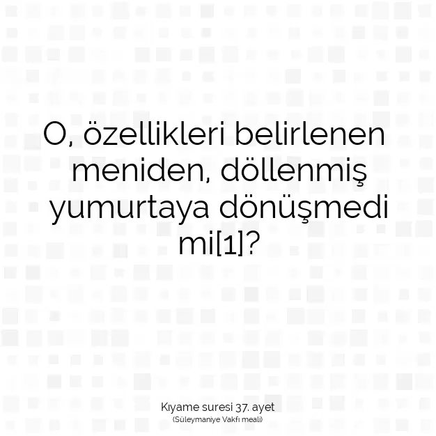 Ayetbul | Kuran Mealleri | Quran | Kıyame suresi 37. ayet