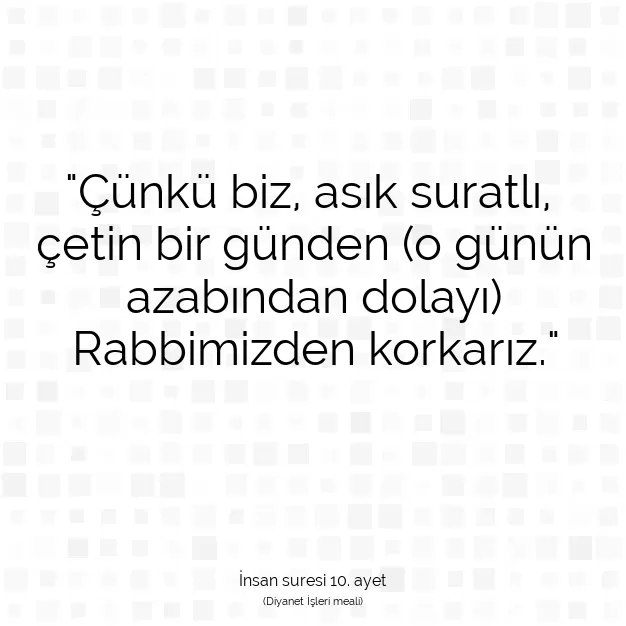 Ayetbul | Kuran Mealleri | Quran | İnsan suresi 10. ayet
