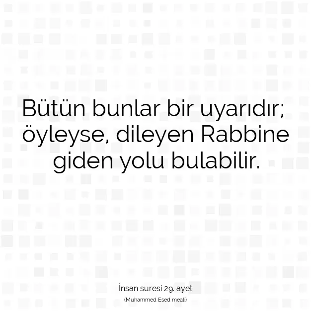 Ayetbul | Kuran Mealleri | Quran | İnsan suresi 29. ayet