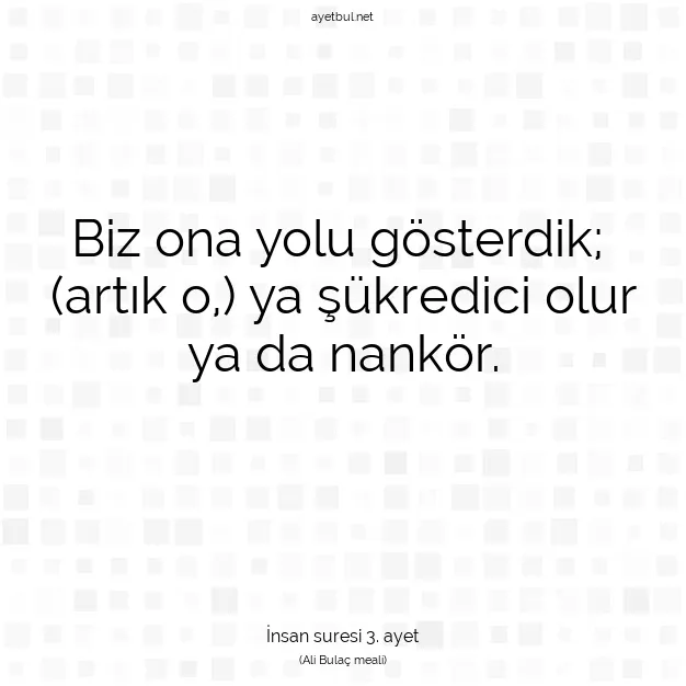 Ayetbul | Kuran Mealleri | Quran | İnsan suresi 3. ayet
