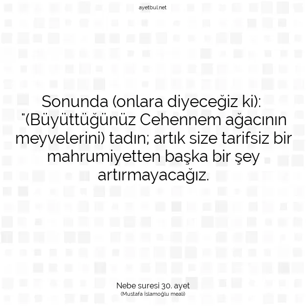Ayetbul | Kuran Mealleri | Quran | Nebe suresi 30. ayet