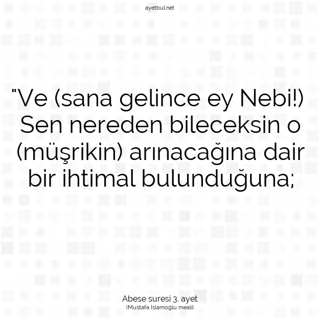 Ayetbul | Kuran Mealleri | Quran | Abese suresi 3. ayet