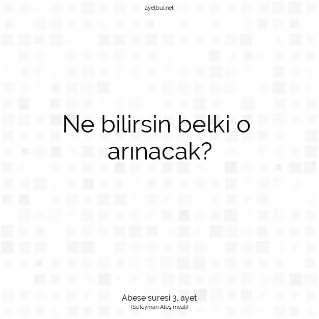 Ayetbul | Kuran Mealleri | Quran | Abese suresi 3. ayet