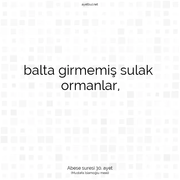 Ayetbul | Kuran Mealleri | Quran | Abese suresi 30. ayet