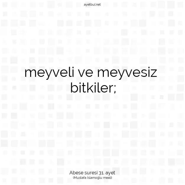 Ayetbul | Kuran Mealleri | Quran | Abese suresi 31. ayet