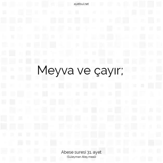 Ayetbul | Kuran Mealleri | Quran | Abese suresi 31. ayet