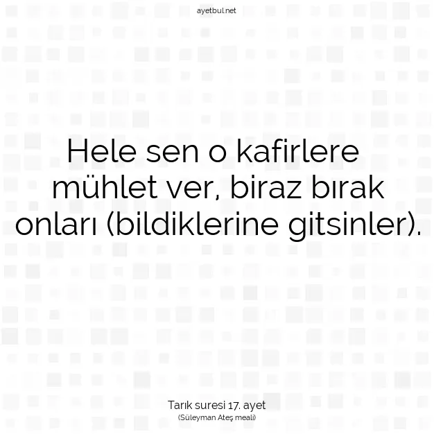Ayetbul | Kuran Mealleri | Quran | Tarık suresi 17. ayet