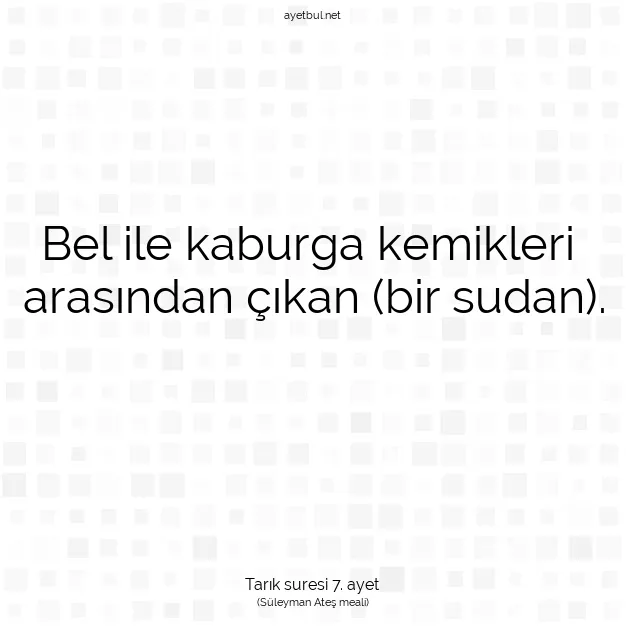 Ayetbul | Kuran Mealleri | Quran | Tarık suresi 7. ayet