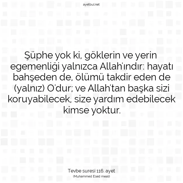Ayetbul | Kuran Mealleri | Quran | Tevbe suresi 116. ayet