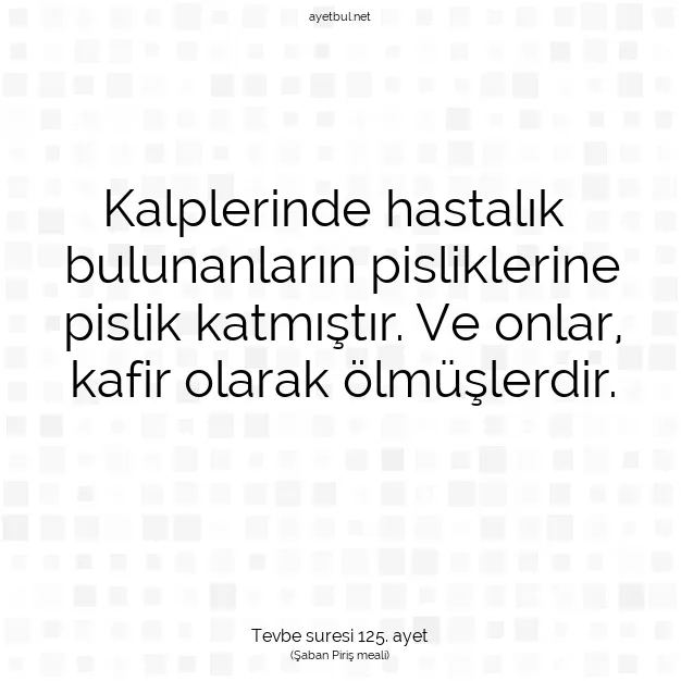 Ayetbul | Kuran Mealleri | Quran | Tevbe suresi 125. ayet