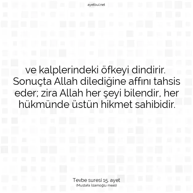 Ayetbul | Kuran Mealleri | Quran | Tevbe suresi 15. ayet