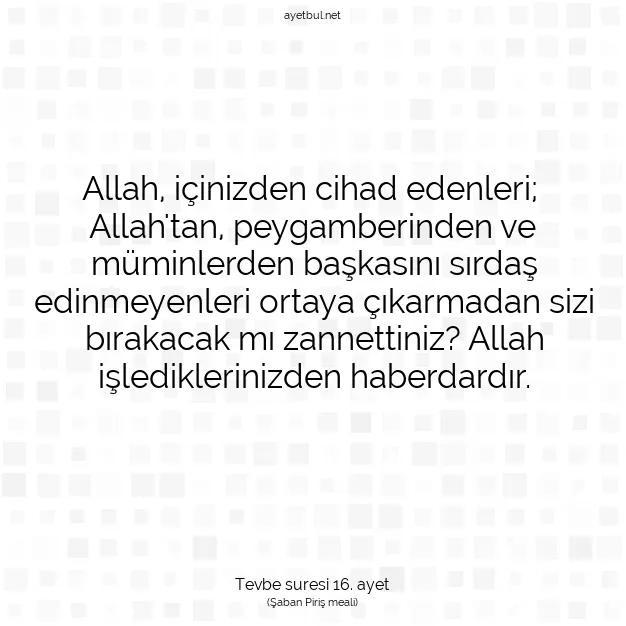 Ayetbul | Kuran Mealleri | Quran | Tevbe suresi 16. ayet