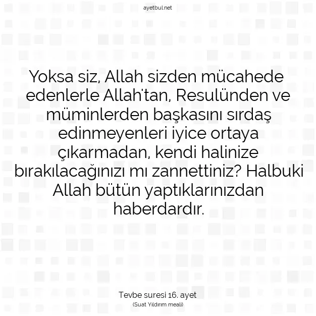 Ayetbul | Kuran Mealleri | Quran | Tevbe suresi 16. ayet