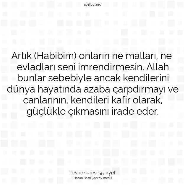 Ayetbul | Kuran Mealleri | Quran | Tevbe suresi 55. ayet