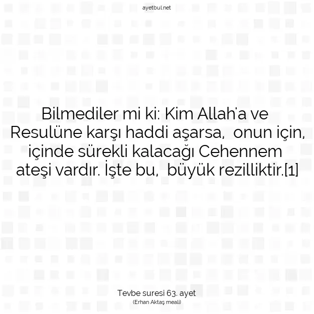 Ayetbul | Kuran Mealleri | Quran | Tevbe suresi 63. ayet
