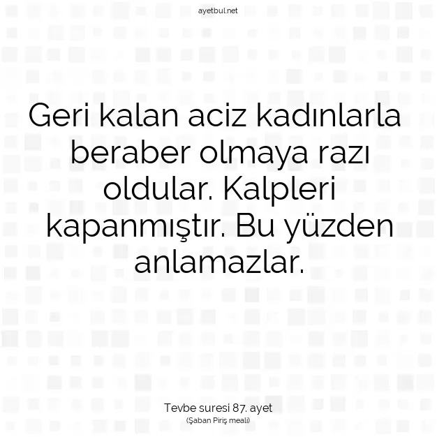 Ayetbul | Kuran Mealleri | Quran | Tevbe suresi 87. ayet
