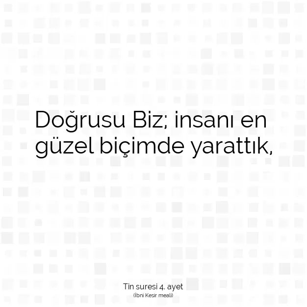 Ayetbul | Kuran Mealleri | Quran | Tin suresi 4. ayet